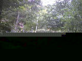 Vermont Garden